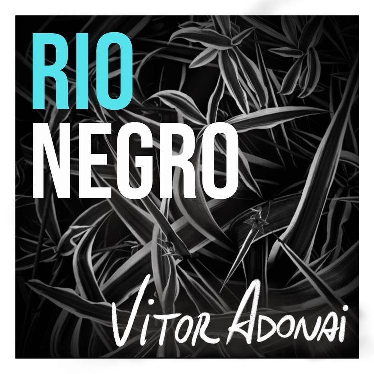 Vitor Adonai's avatar image