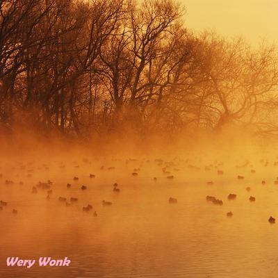 Wery Wonk's cover