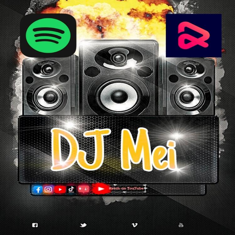 DJ Mei's avatar image