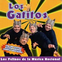 Los Gatitos's avatar cover