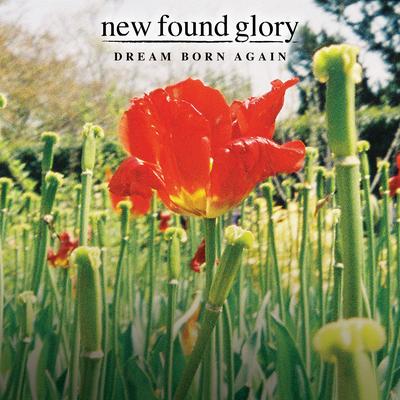 Dream Born Again By New Found Glory's cover