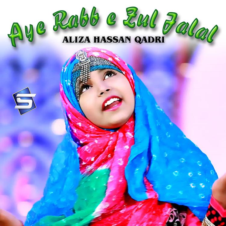 Aliza Hassan Qadri's avatar image