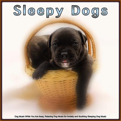 Sleepy Dogs: Dog Music While You Are Away, Relaxing Dog Music for Anxiety and Soothing Sleeping Dog Music's cover