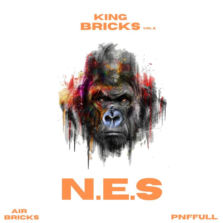 N.E.S's avatar image