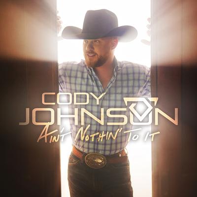 Fenceposts By Cody Johnson's cover