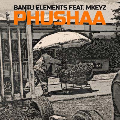Bantu Elements's cover