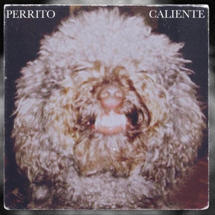 Perrito Caliente's avatar image