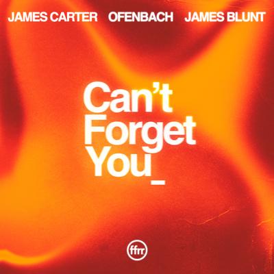 Can’t Forget You (feat. James Blunt) By James Carter, Ofenbach, James Blunt's cover