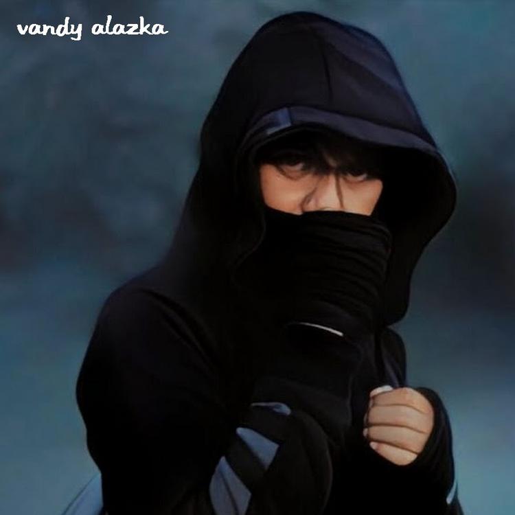 Vandy alazka's avatar image