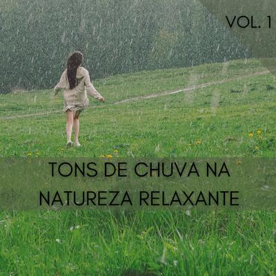 Tempestade Em Dia Chuvoso By Dormir e Meditar, Calmante, Música para Relaxar Maestro's cover