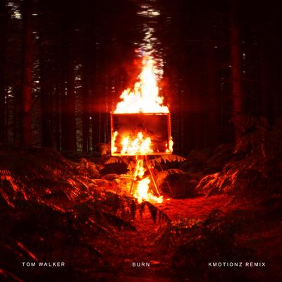 Burn (K Motionz Remix)'s cover