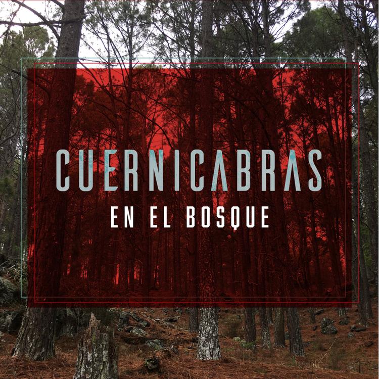 Cuernicabras's avatar image