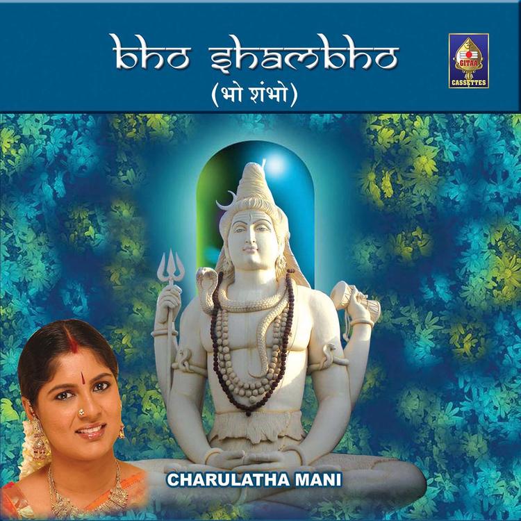 Chaarulatha Mani's avatar image