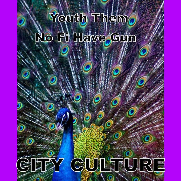 City Culture's avatar image