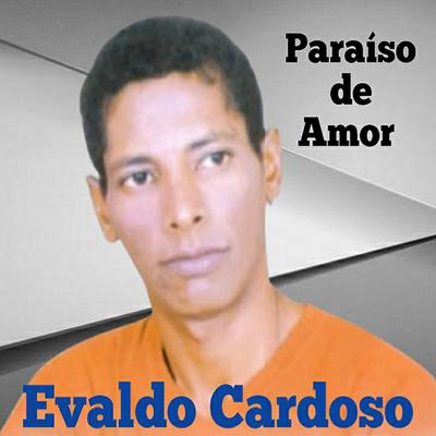 Paraíso de Amor's cover