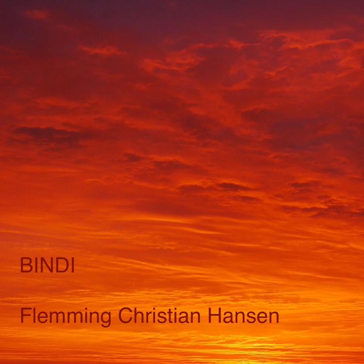 Flemming Christian Hansen's avatar image