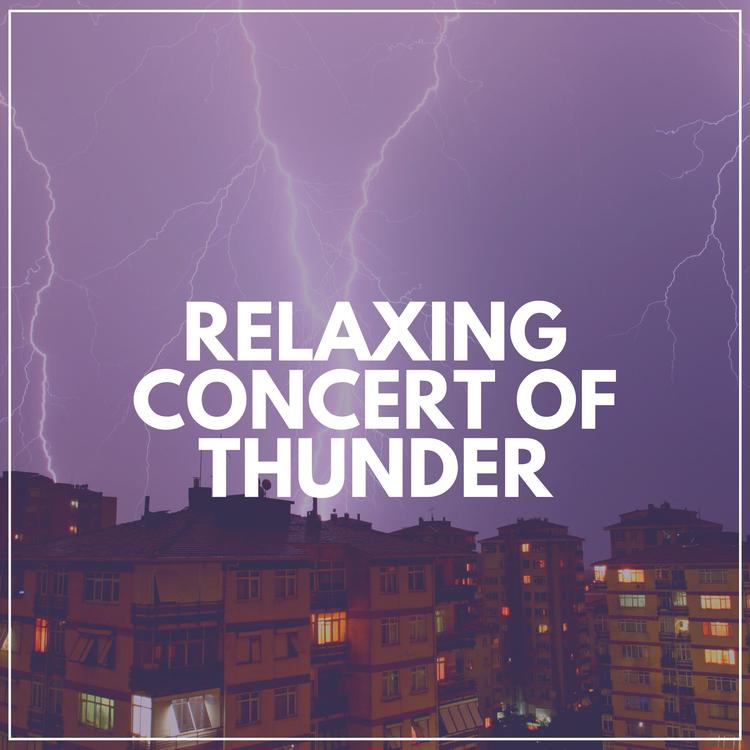 Rain, Hurricane & Thunder Storms Sounds's avatar image