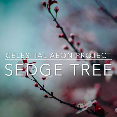 Sedge Tree (From "Shenmue") By Celestial Aeon Project's cover