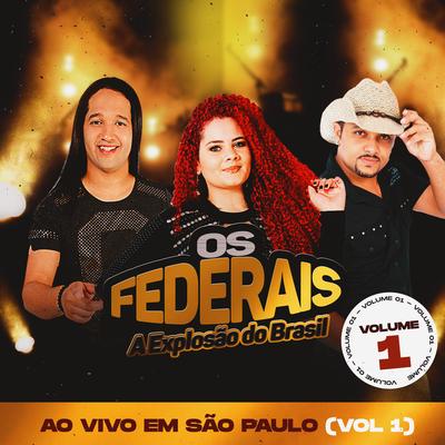 Ao Vivo em São Paulo, Vol. 1's cover