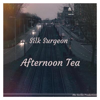 Silk Surgeon's cover