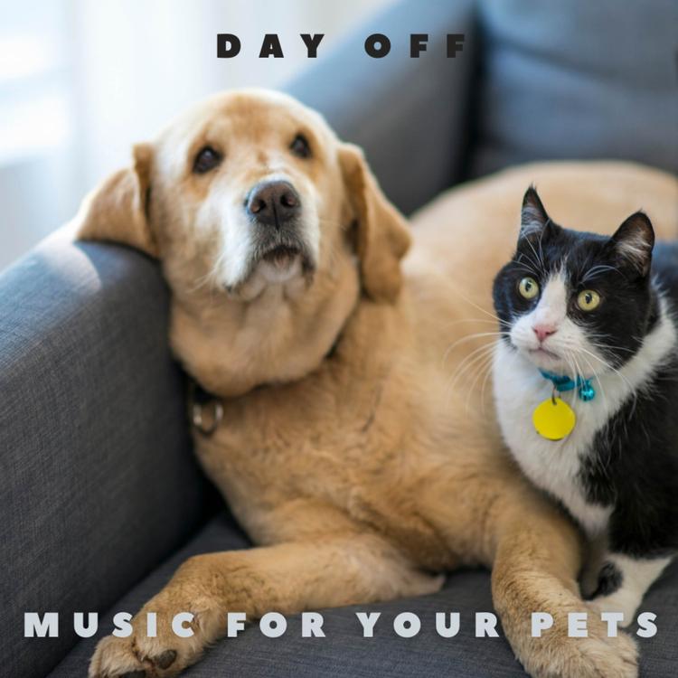 Music for your Pets's avatar image