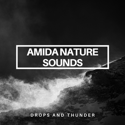 Drops And Thunder By Amida Nature Sounds's cover