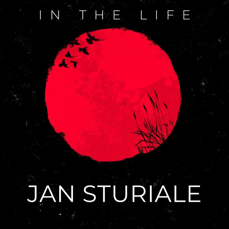 Jan Sturiale's avatar image