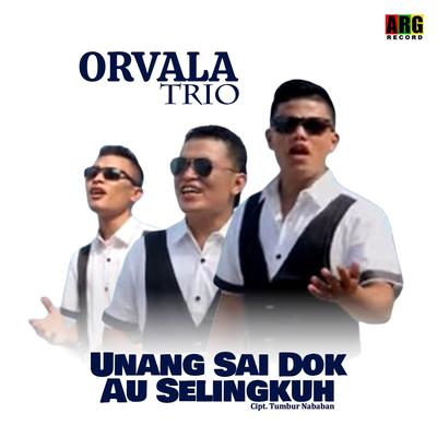Orvala Trio's cover