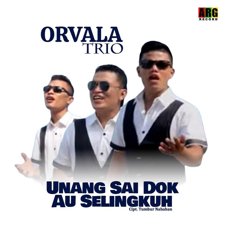 Orvala Trio's avatar image