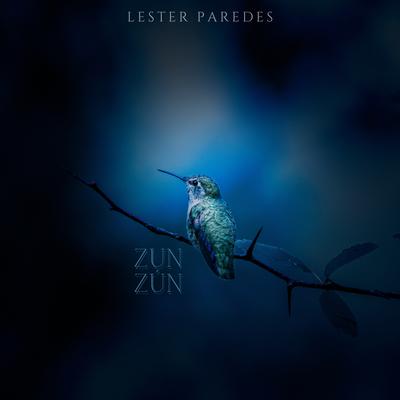 Zun Zún's cover