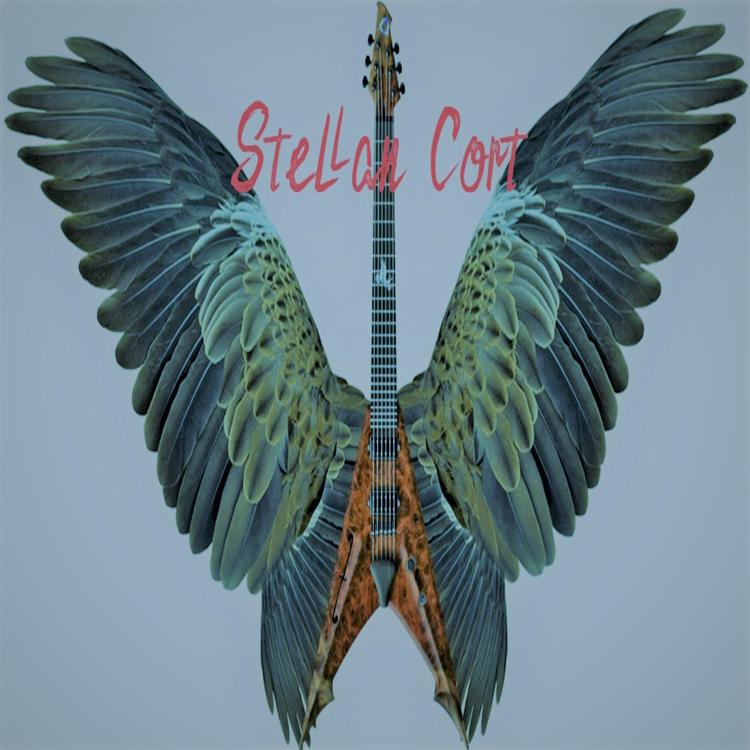 Stellan Cort's avatar image