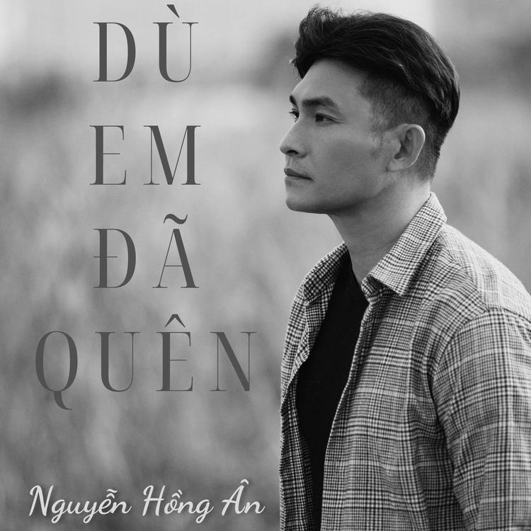 Nguyễn Hồng Ân's avatar image