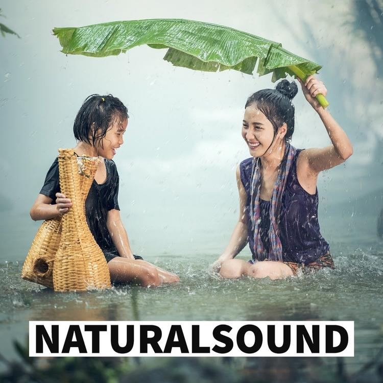 NATURALSOUND's avatar image