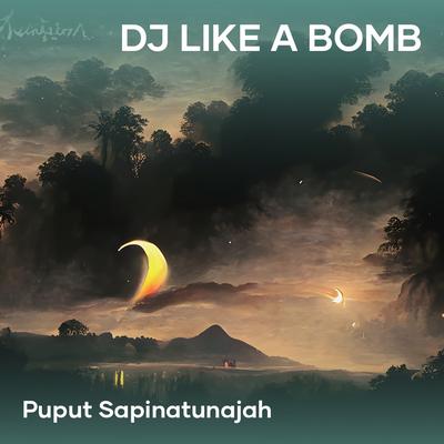 Dj Like a Bomb's cover