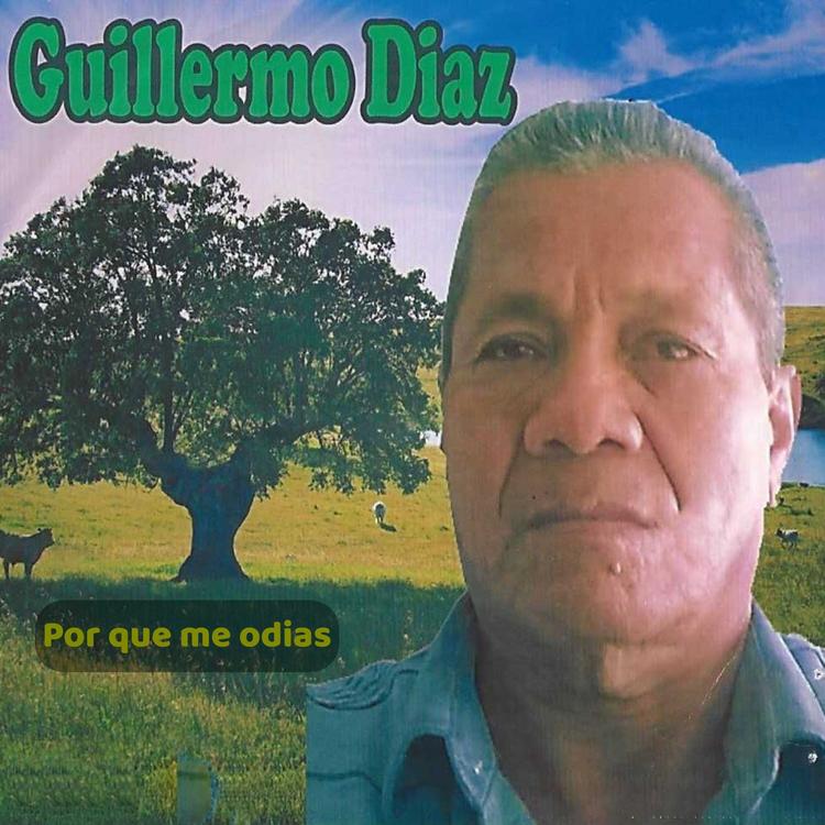 Guillermo Diaz's avatar image