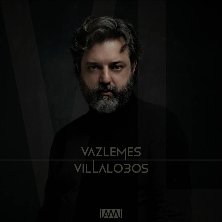 Antonio Vaz Lemes's avatar image