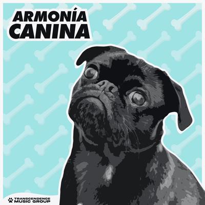 Armonía Canina's cover