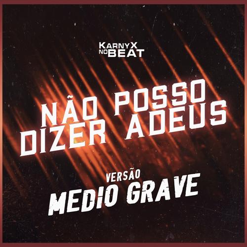 NÃØ POSSØ DIZɆR ADEɄS - Versão Médio Gra's cover