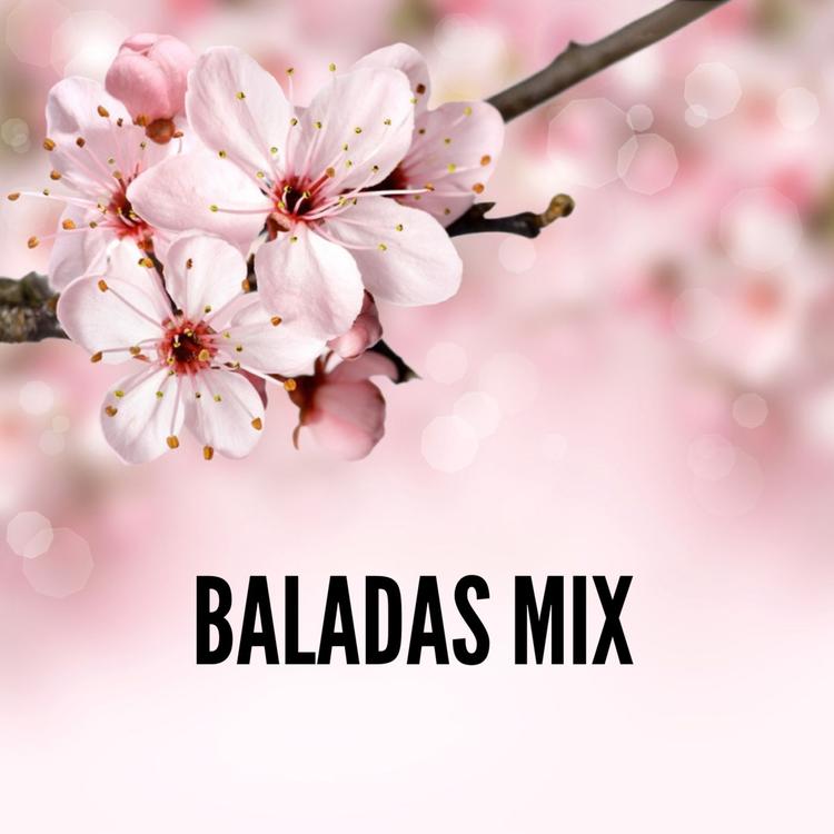 Mix Balada's avatar image