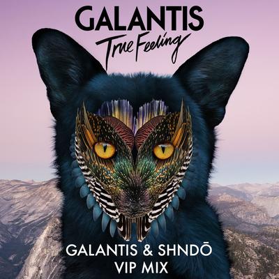 True Feeling (Galantis & shndō VIP Mix) By shndō, Galantis's cover