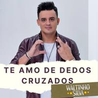 Waltinho Silva's avatar cover