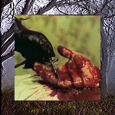 Friday the 13th By $uicideboy$'s cover