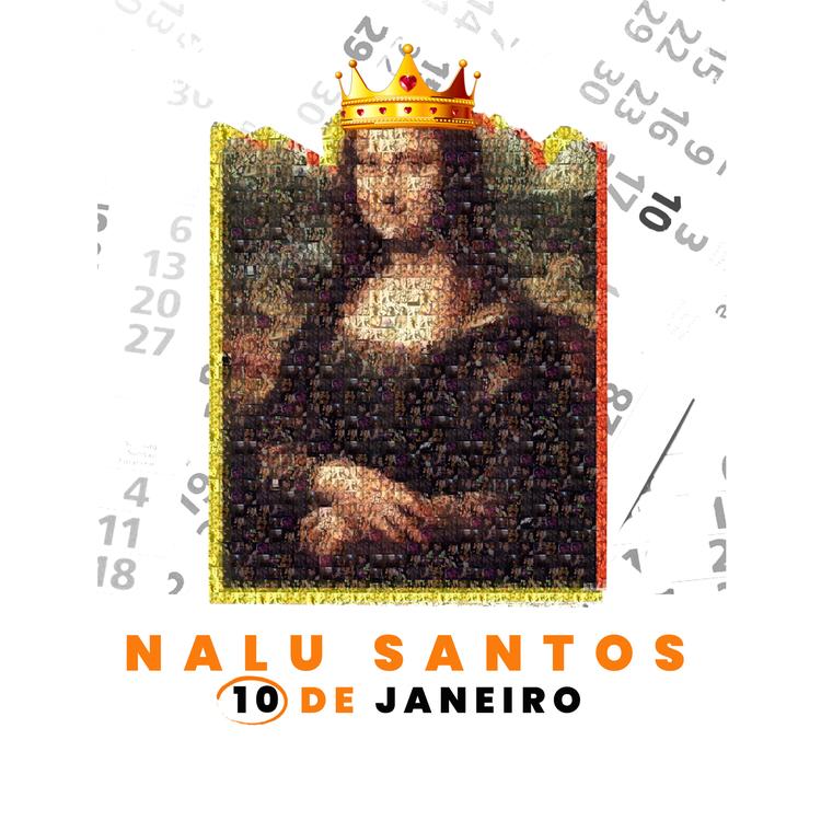 Nalu Santos's avatar image