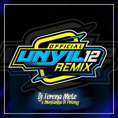 DJ Terena Mete 's cover