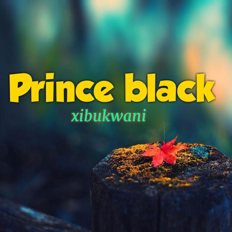 Prince Black's avatar image