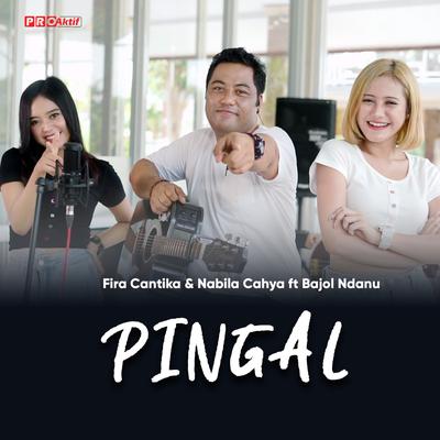 Pingal's cover