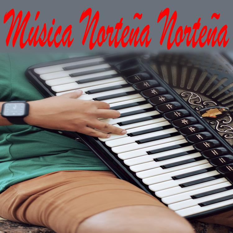 Música Norteña's avatar image