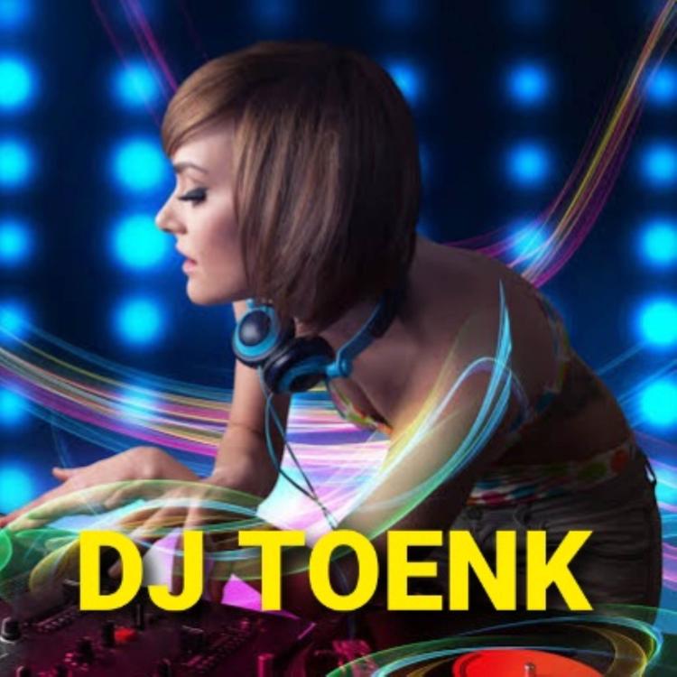 DJ TOENK's avatar image