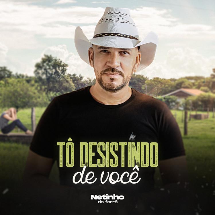 Netinho do Forro's avatar image