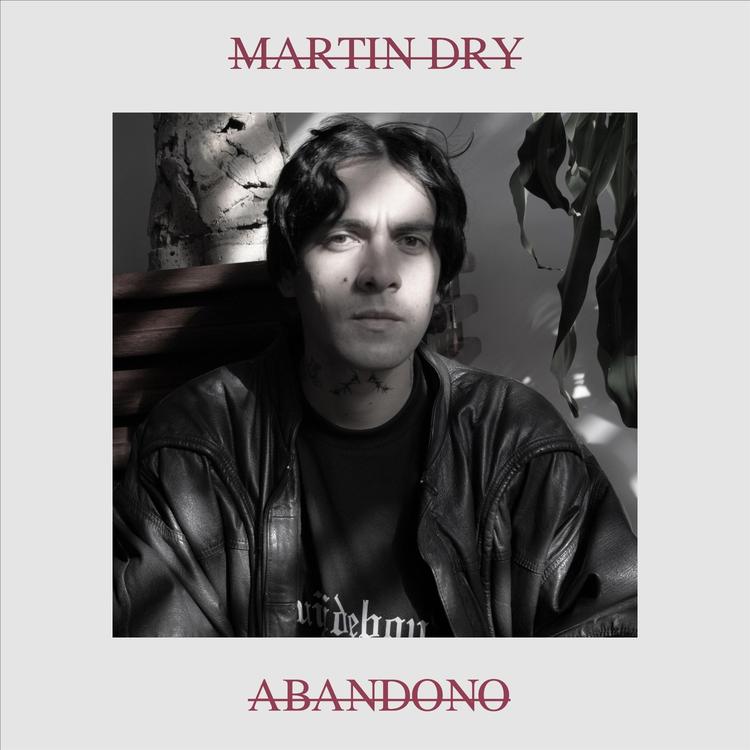 Martin Dry's avatar image